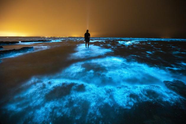 This is the stunning moment a photographer was left in awe when we came across some mesmerising BIOLUMINESCENT algae off the coast of Australia. See SWNS story SWBRalgae. The gorgeous natural phenomenon took place at Plantation Point in Jervis Bay, Austra