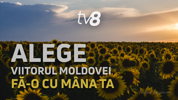start-vot-logo