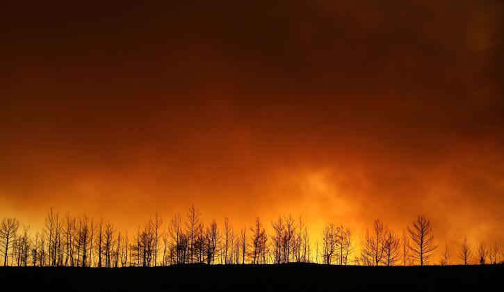 2021-07-29t173857z_2096214844_rc2huo9tyzfs_rtrmadp_3_turkey-wildfire-min