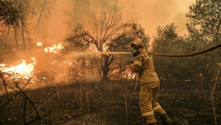 12 zile de haos în Grecia. Foto: Profimedia Images