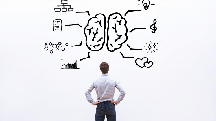 human-brain-right-left-828490784-02cb52db68524cc3a2838da4488116e6