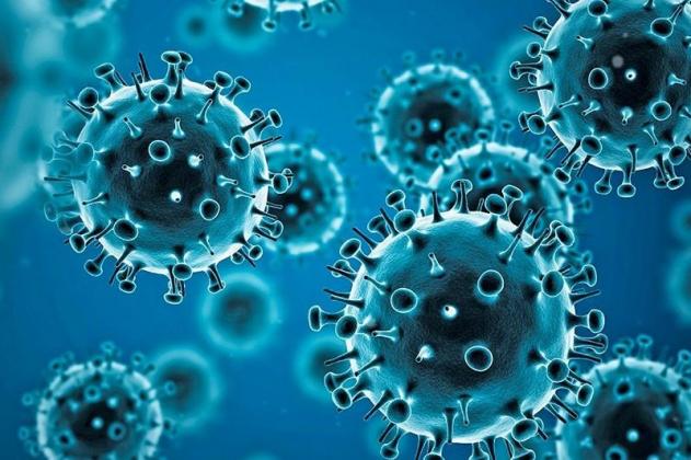 coronavirus-2-2