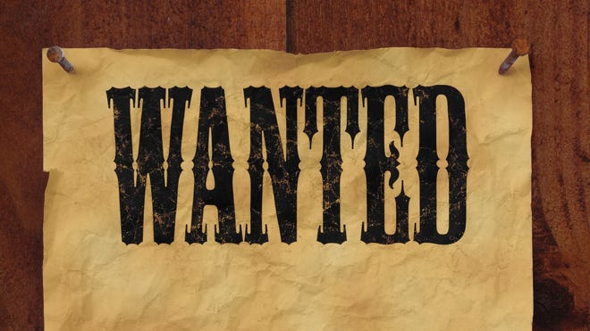 636280378985134059-wanted-crop