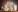 Premieră! Comisia Europeană a aprobat primul lot de export al produselor lactate din Republica Moldova, pe piața UE