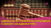Поправки к закону «Об адвокатуре» спровоцировали протесты - ВИДЕО