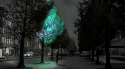 В США разрабатывают "иллюминирующие" деревья для уличного освещения