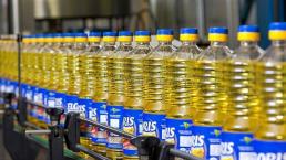 „Trans-Oil” s-a adresat în instanța de judecată: Decizia CSE va provoca creșterea prețului la uleiul de floarea-soarelui