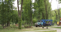 Эхо трагедии в парке "Алунелул". В Кишиневе проводят тщательную проверку зеленых насаждений