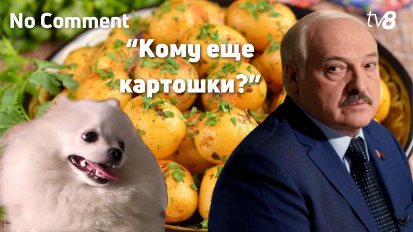 No comment. “Кому еще картошки?”. Лукашенко и обед чиновников в компании пса на столе