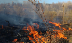 В Молдове вводится "желтый код" из-за высокого риска природных пожаров