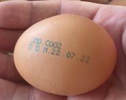 Un lot de ouă, retras din comerț: Există risc de infectare cu salmonella. Cei care le-au procurat, le pot returna