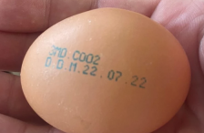Агентство по безопасности пищевых продуктов сообщило о партии яиц с сальмонеллой
