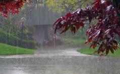 Сегодня в Молдове возможны кратковременные дожди