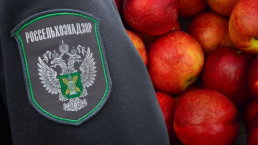 "Подкреплено вескими основаниями". Россия отрицает политическую составляющую в запрете ввоза овощей и фруктов из Молдовы