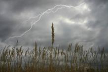 На Молдову надвигаются ливни с грозами и сильный ветер: синоптики объявили "желтый" уровень метеоопасности