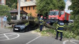 Ghinion pentru un posesor de BMW Seria 8 din România. I-a fost lovită de două ori de același copac