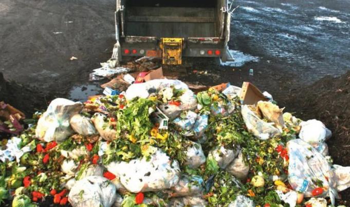 /VIDEO/ Cumpărăm, mâncăm și aruncăm: Risipă alimentară de sărbători. La câte milioane de lei se ridică valoarea produselor