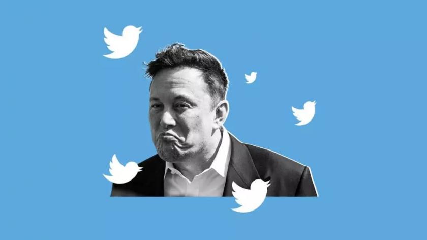 "Птичка на свободе". Илон Маск провел день на посту главы Twitter