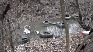 /VIDEO/ Anvelopele nimănui: Mormane de cauciucuri sunt aruncate prin râuri și păduri! Doar 2000 de tone se reciclează 