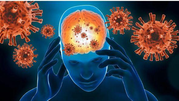 Ученые связали возрастные нарушения в работе мозга с вирусными инфекциями