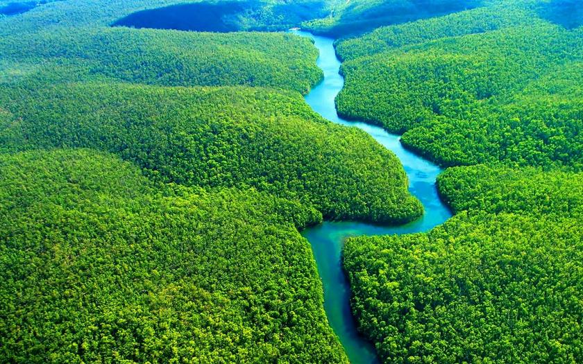 Исследователи: Более трети лесов Амазонии деградируют из-за человека