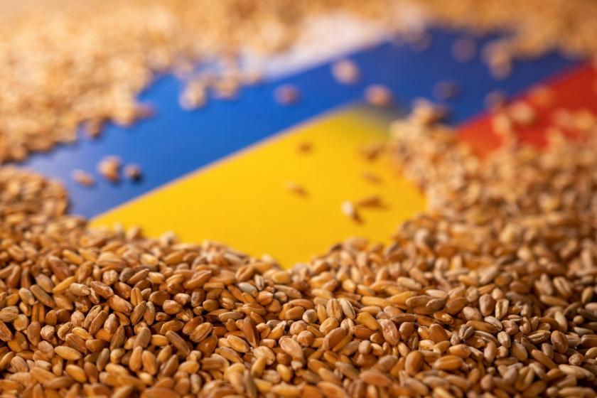 В Кремле подтвердили продление "зерновой сделки" с Украиной 