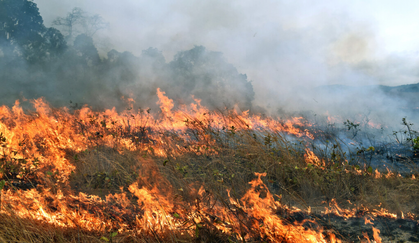 Риск возникновения пожаров. В Молдове объявлен "желтый" уровень метеоопасности