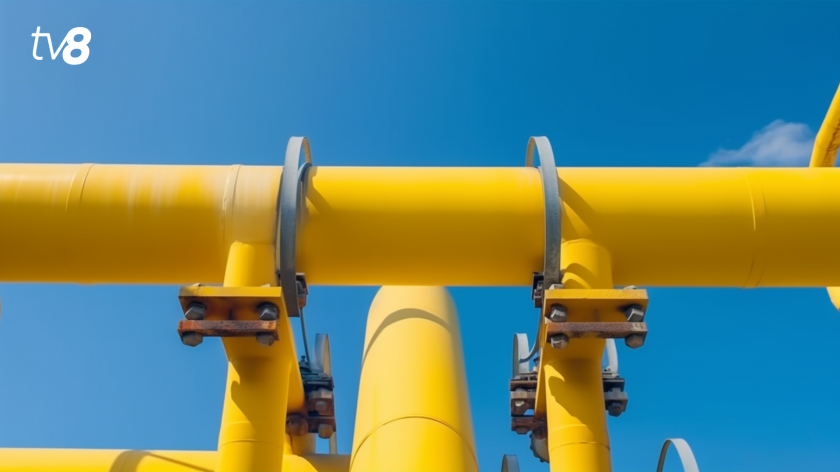 Energocom заключил контракт на закупку природного газа с двумя новыми компаниями. Что говорит Бынзарь