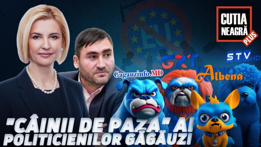 /VIDEO INVESTIGAȚIE/„Câinii de pază” ai politicienilor găgăuzi. Cine denigrează imaginea UE în Găgăuzia din contul banilor publici