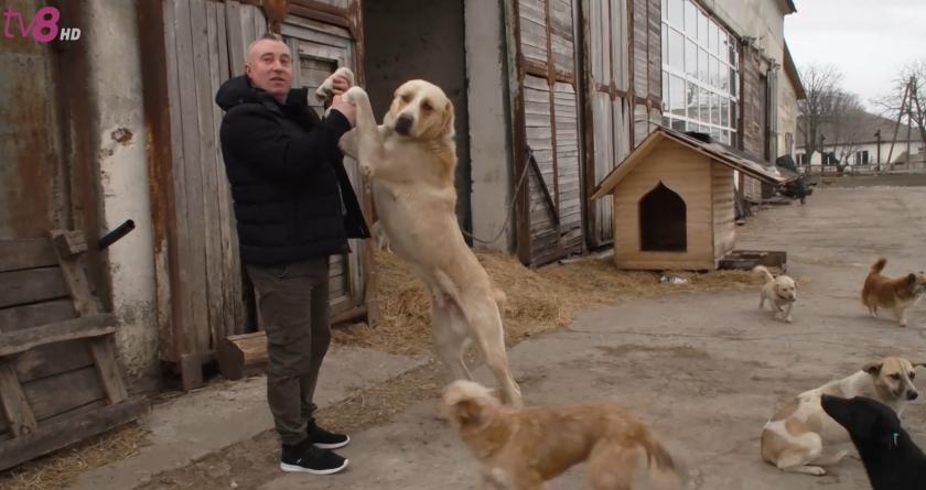 "Ноев ковчег" в Тудоре. Как молдавский фермер спонтанно организовал приют для эвакуированных украинских животных 