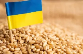 Еврокомиссия планирует продлить ограничения на агроимпорт из Украины 