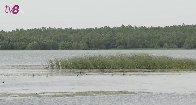 Под угрозой исчезновения: засуха повлияла на экосистему озера Белеу
