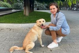 Președinția a devenit casă pentru Codruț, un câine lovit de mașină. Sandu: „După luni de tratament, aleargă bucuros în 3 picioare”