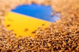 Cerealele care provin din Ucraina și tranzitează teritoriul țării noastre vor fi exceptate, în continuare, de la controlul ANSA
