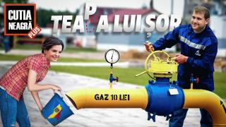  Cutia Neagră PLUS: кто стоит за дешевым газом, обещанным Шором? 

