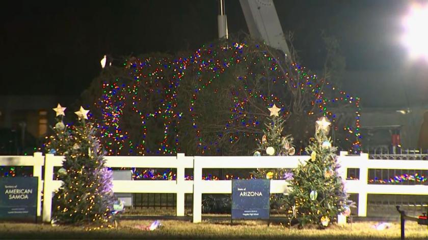 /VIDEO/ Nu a rezistat nici până la inaugurare: Bradul de Crăciun de la Casa Albă, doborât de vântul puternic