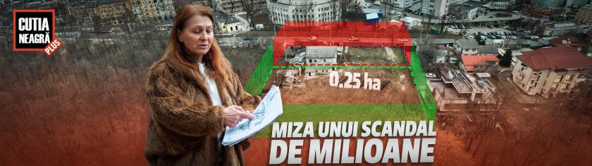 /VIDEO/ Un teren lângă Dendrariu, privatizat gratuit - miza unui scandal! O pensionară luptă cu un om de afaceri milionar 