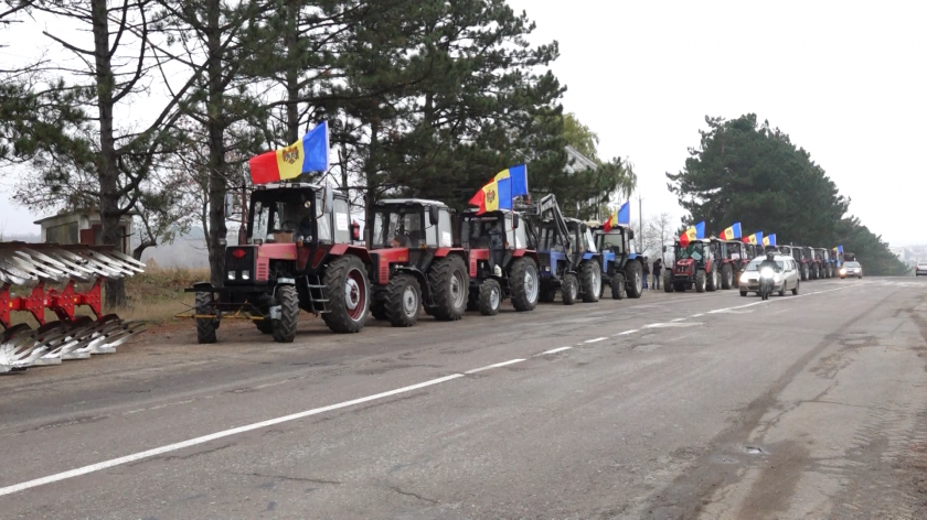 /ВИДЕО/ Фермеры с юга Молдовы вышли на акцию протеста