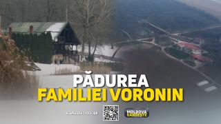 /VIDEO/ Pădurea Țiganca, arendată și acum de o firmă afiliată familiei Voronin. „Când ați fost ultima dată la Țiganca?” „Ce prostii!”
