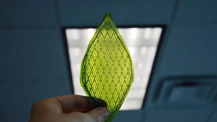 Plante, create în laborator! Oamenii de știință au dezvoltat o „frunză artificială” care produce hidrogen
