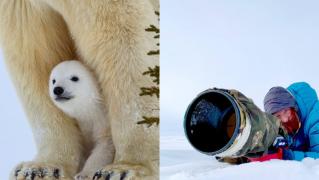 /FOTO/ Emoții pufoase! Un fotograf a îndurat temperaturi extreme pentru a surprinde viața unei familii de urși polari