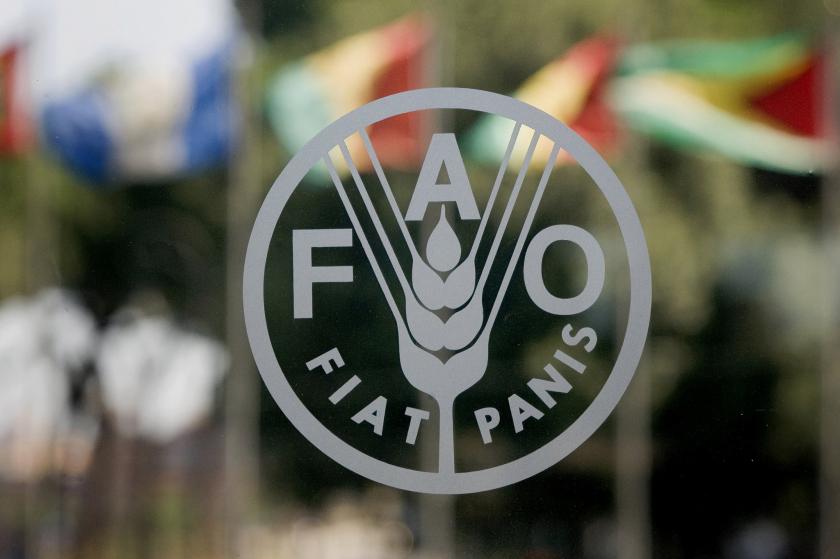Молдавские власти отказали делегации России в участии в сессии ФАО в Кишиневе