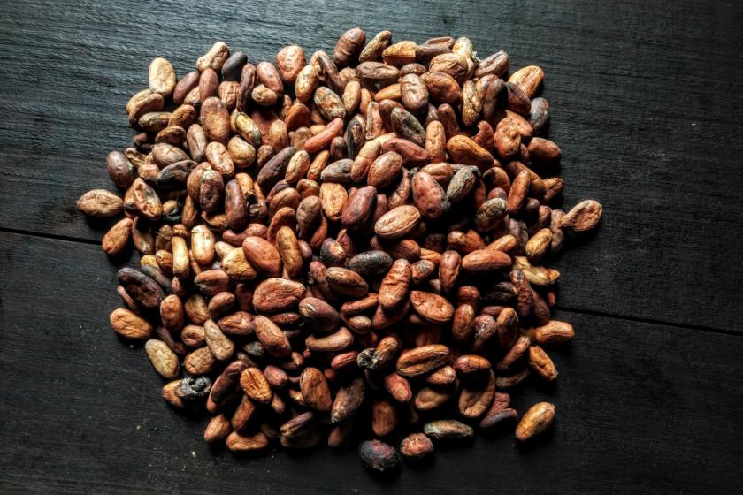Boabele de cacao, mai valoroase decât cuprul! O tonă de cacao se vinde cu 9.000 de dolari, preț record