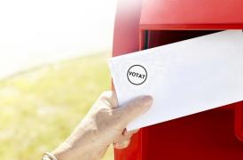 Голосование по почте предлагается к внедрению еще в четырех странах
