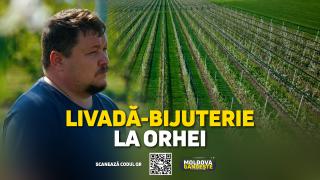 /VIDEO/ Livadă super-intensivă, cu investiții de milioane, la Orhei. „Un agricultor nu trebuie să stea numai în câmp”