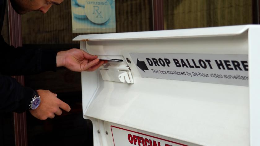  Диаспора из шести стран сможет голосовать по почте. Оппозиция раскритиковала принятый законопроект 