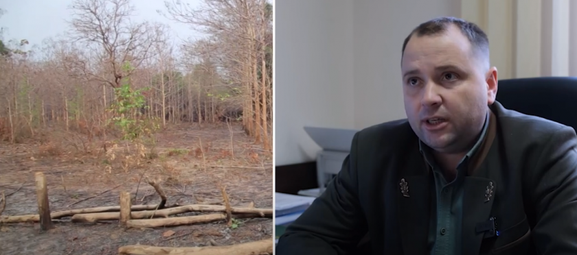 /VIDEO/ Impactul crizei energetice asupra consumului lemnului de foc. Expert: „Volumul de exploatări forestiere, influențat”
