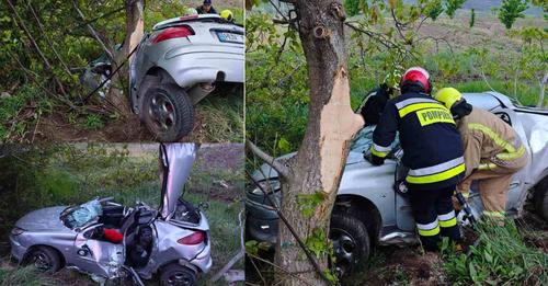 /ВИДЕО/ Не справилась с управлением и врезалась в дерево: в Хынчештском районе в ДТП погибла 19-летняя девушка
