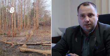 /ВИДЕО/ EnergoShow: На фоне энергетического кризиса последних лет молдаване чаще возвращаются к дровам