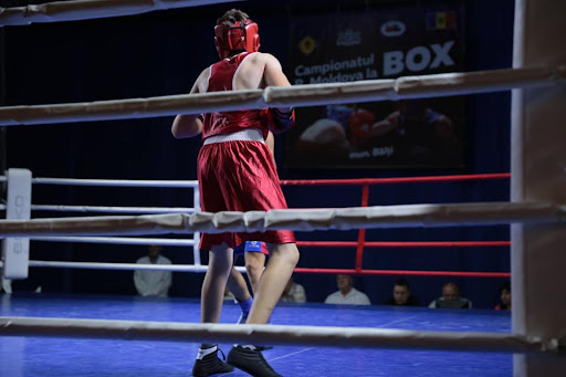 Trei boxeri moldoveni și-au asigurat un loc pe podium la Europenele de la Belgrad
